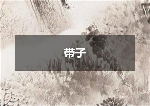 带子