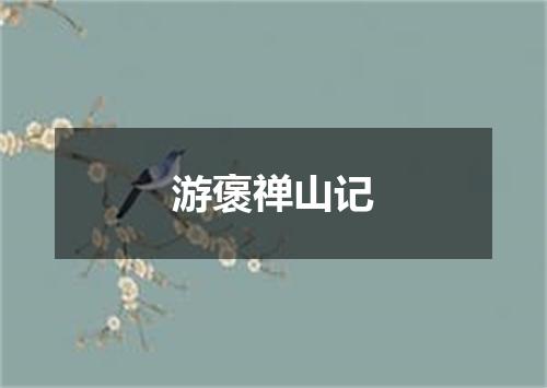 游褒禅山记