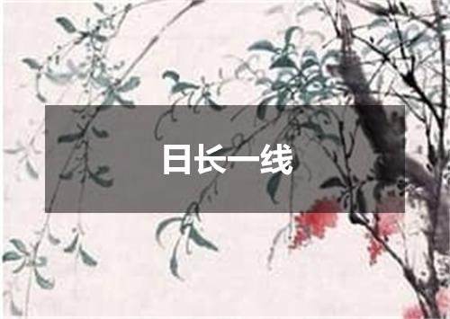 日长一线