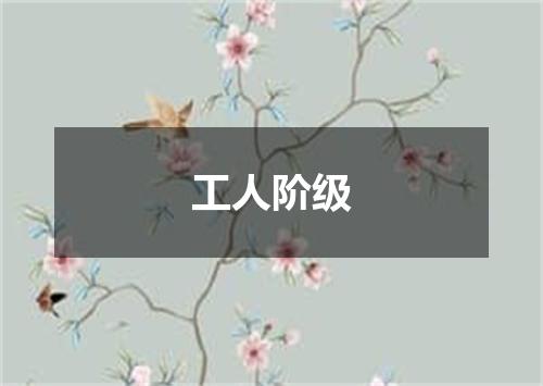 工人阶级