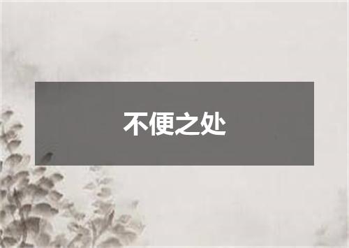 不便之处