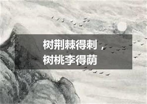 树荆棘得刺，树桃李得荫