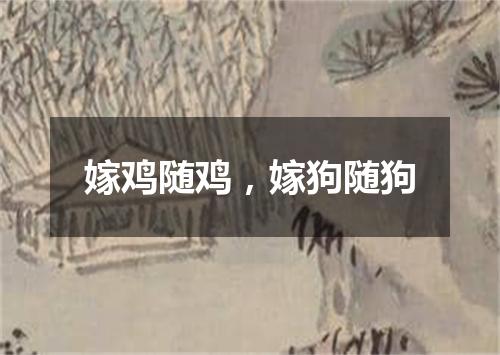 嫁鸡随鸡，嫁狗随狗