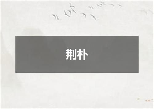 荆朴