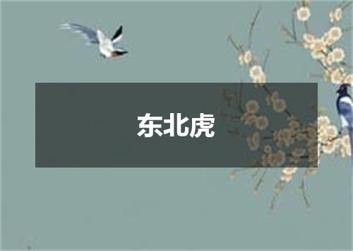 东北虎