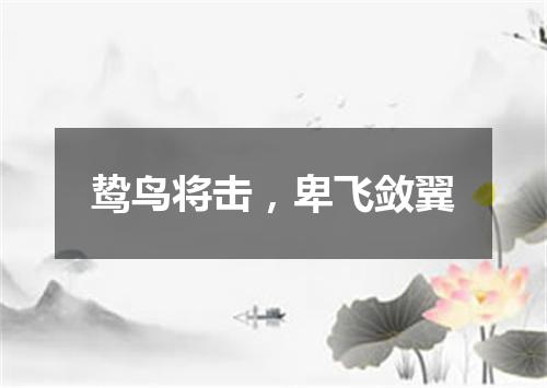 鸷鸟将击，卑飞敛翼
