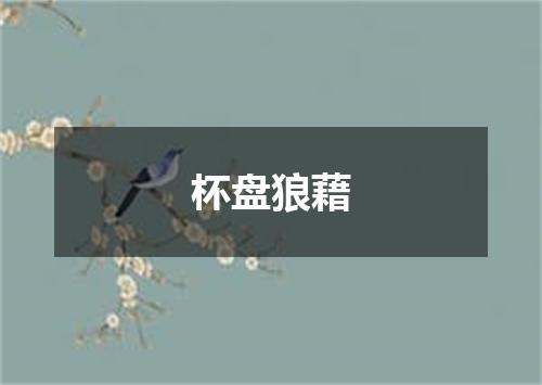 杯盘狼藉