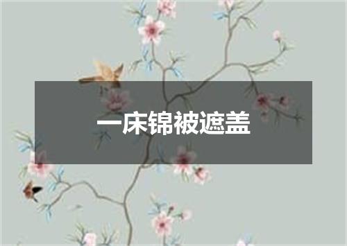 一床锦被遮盖