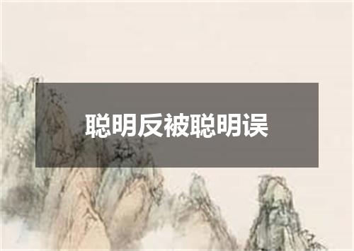 聪明反被聪明误