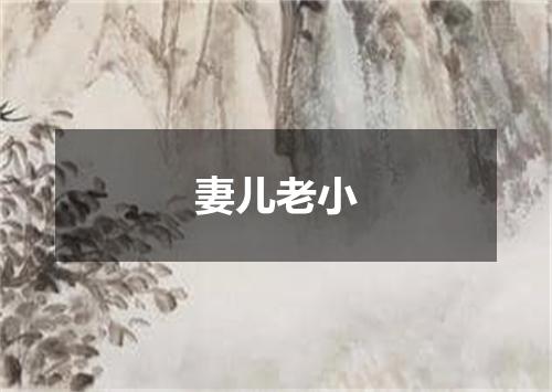 妻儿老小