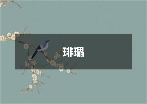 琲瓃