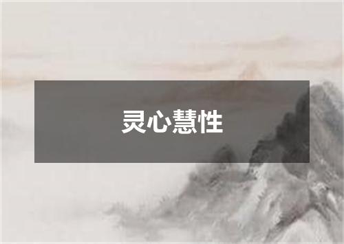 灵心慧性