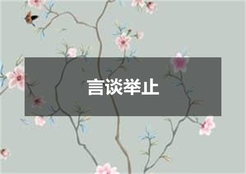 言谈举止