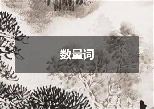 数量词