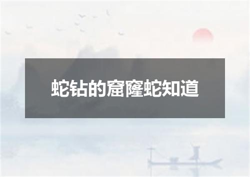 蛇钻的窟窿蛇知道