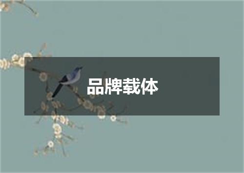 品牌载体