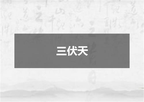 三伏天
