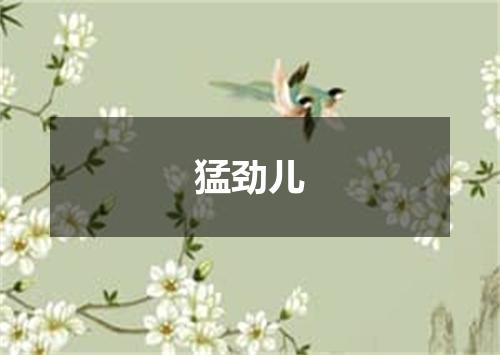 猛劲儿