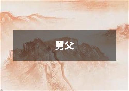 舅父