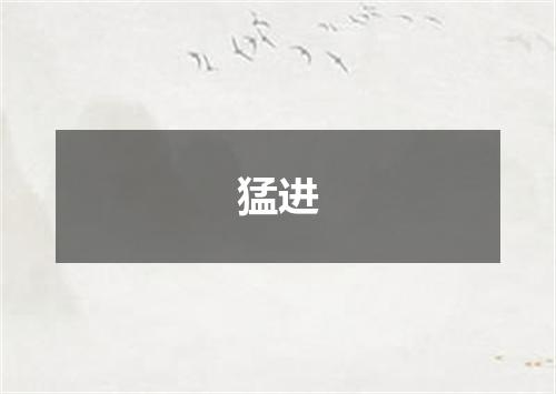 猛进