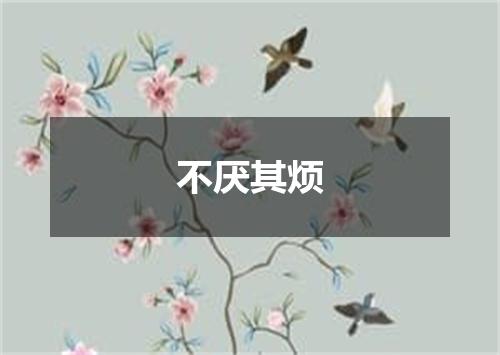 不厌其烦