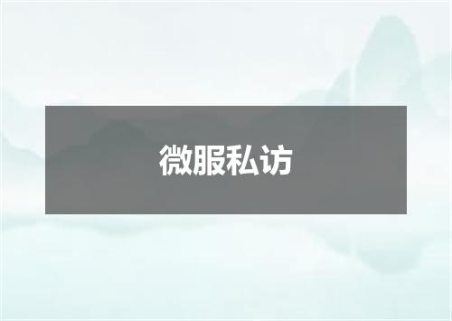 微服私访
