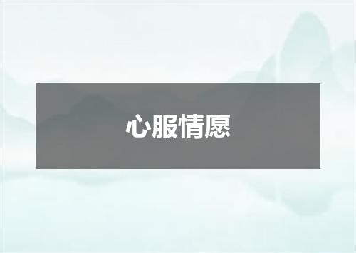 心服情愿