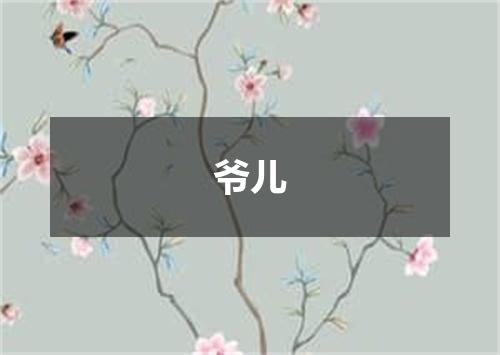 爷儿