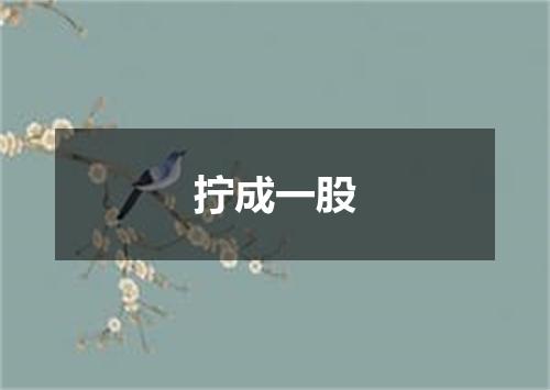 拧成一股