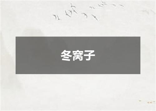 冬窝子