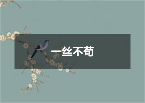 一丝不苟