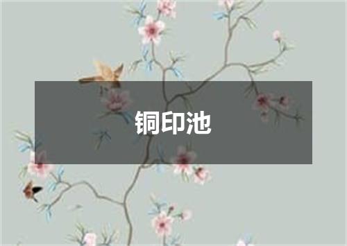 铜印池