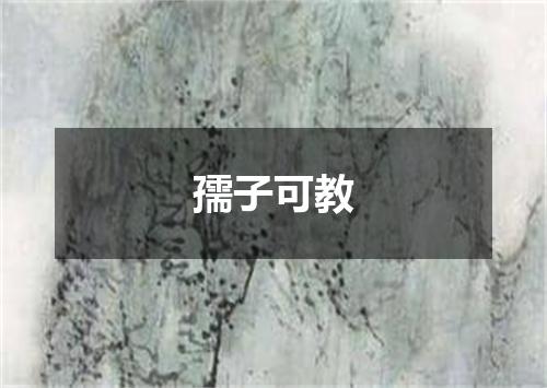 孺子可教