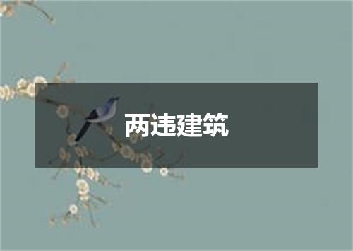两违建筑