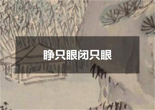 睁只眼闭只眼