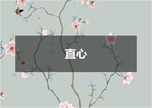 直心
