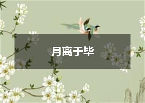 月离于毕