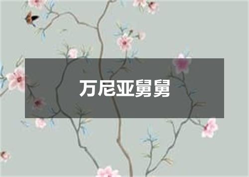 万尼亚舅舅