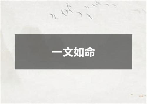 一文如命