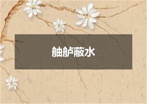 舳舻蔽水