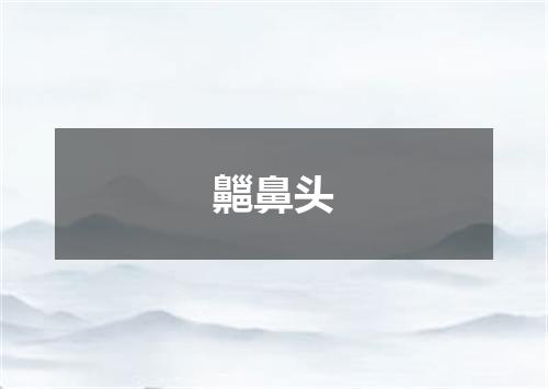 齆鼻头