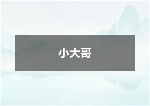 小大哥