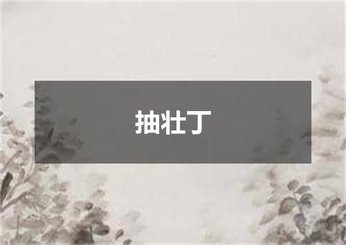 抽壮丁