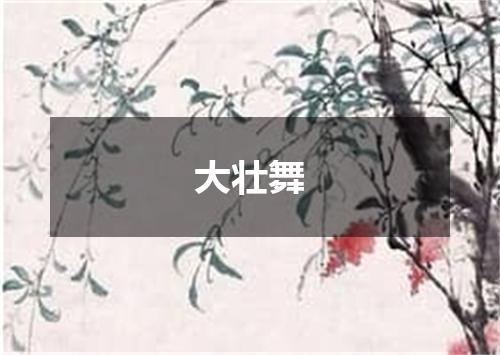 大壮舞