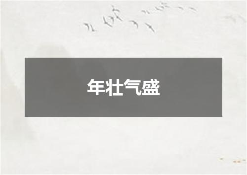 年壮气盛