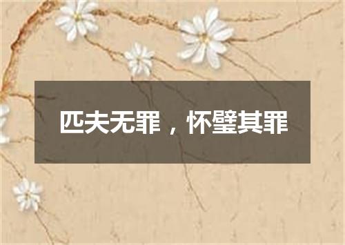 匹夫无罪，怀璧其罪
