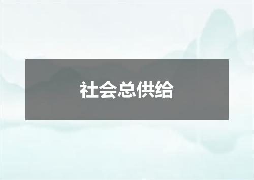 社会总供给