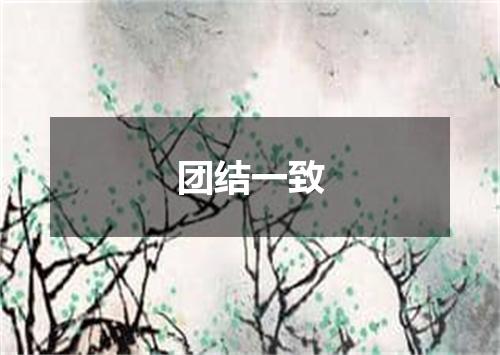 团结一致