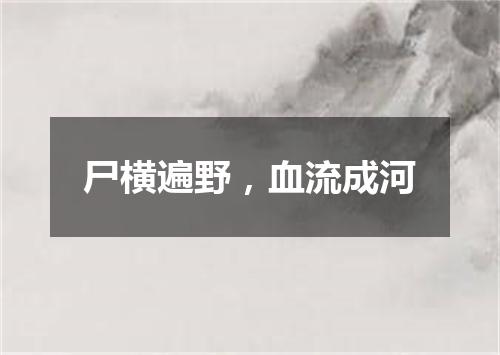 尸横遍野，血流成河