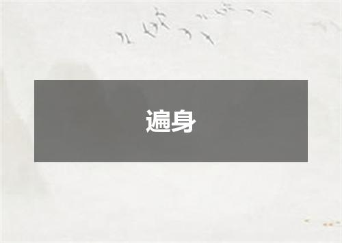 遍身